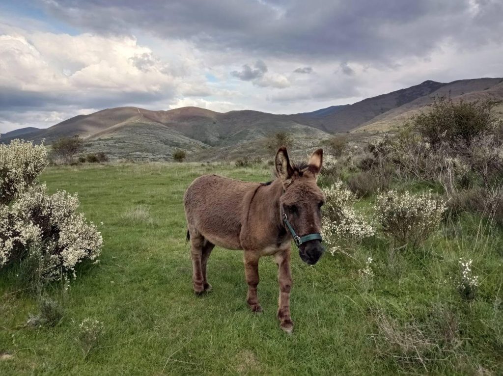 Casas rurales en El Bierzo
